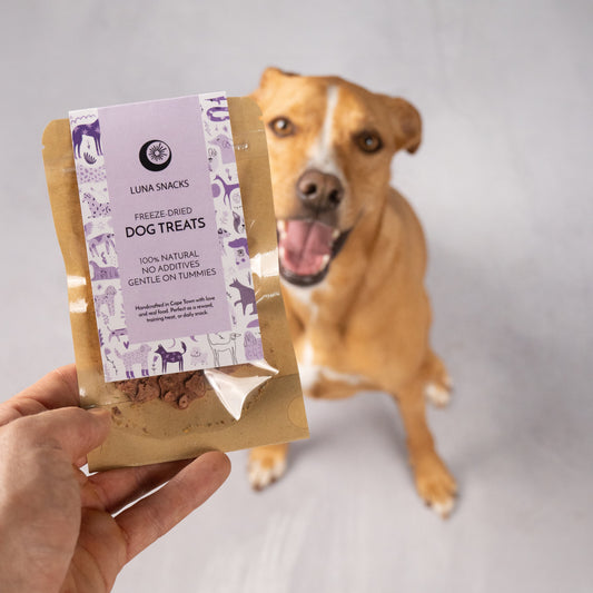 Person holding a package of Luna Snacks freeze-dried dog treats with a dog in the background.