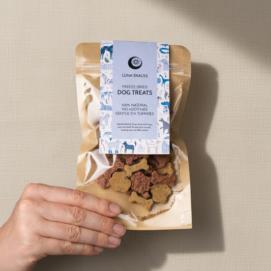 Hand holding a package of Luna Snacks freeze-dried dog treats