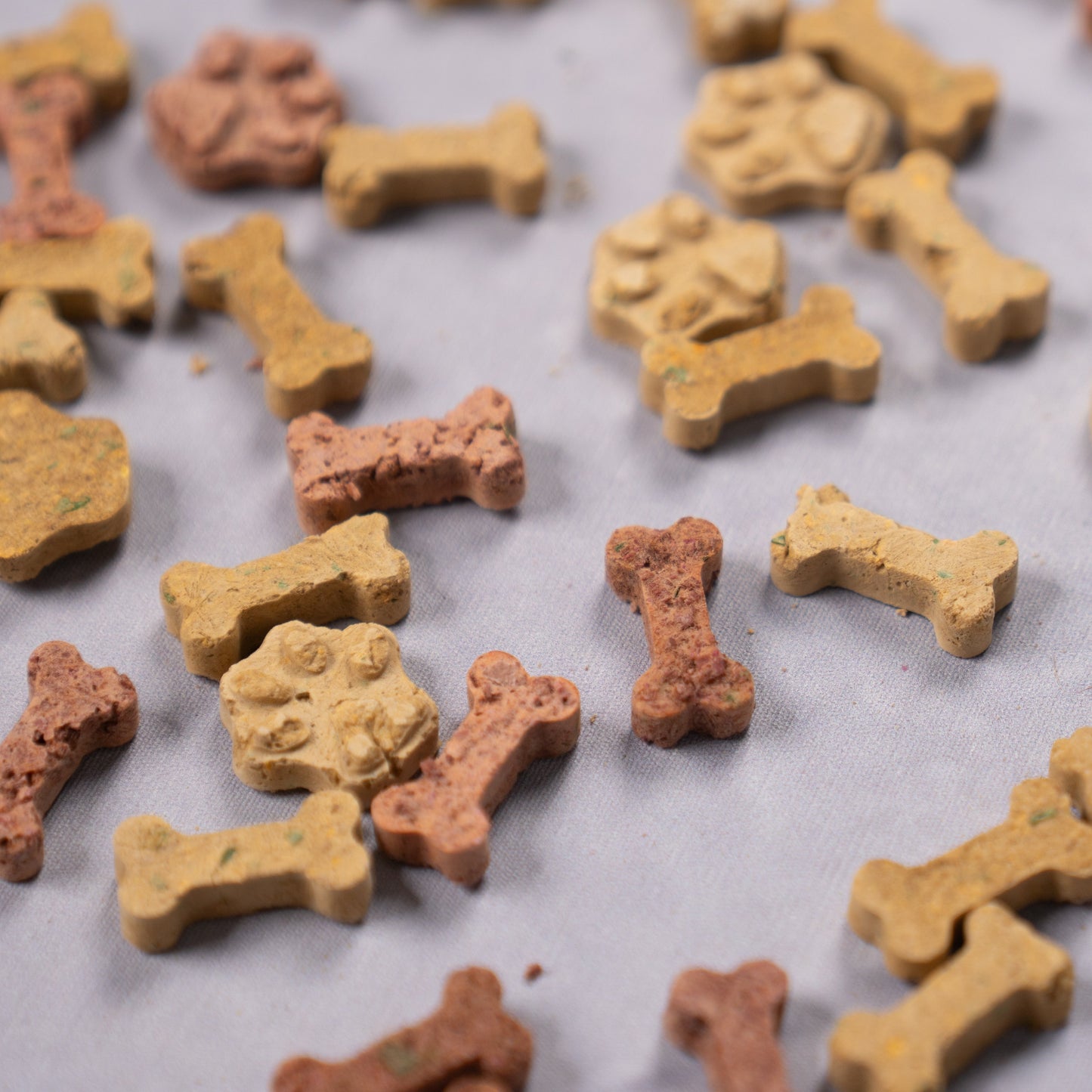 Luna Snacks gog treats shaped like bones and paw prints