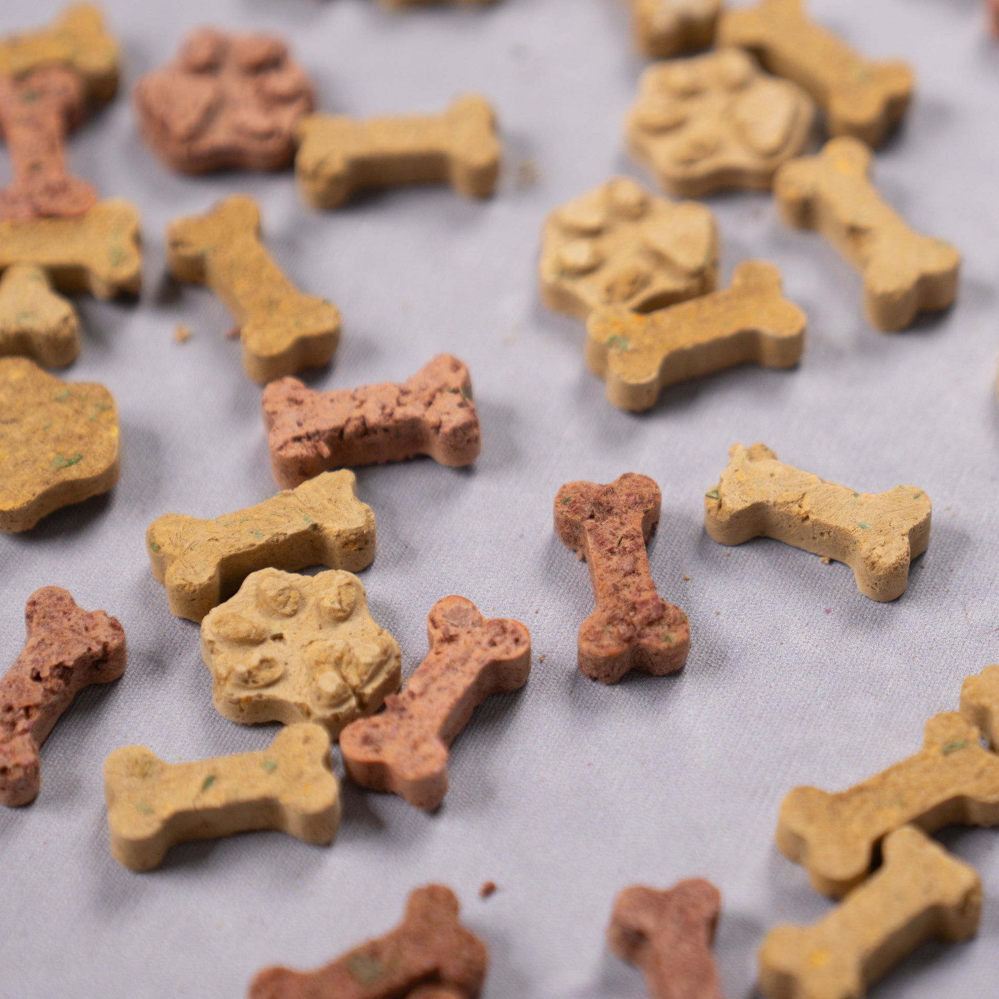Luna Snacks gog treats shaped like bones and paw prints